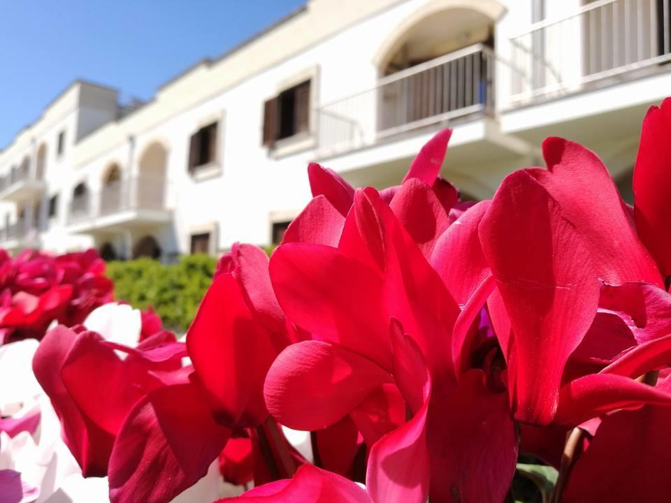 Villaggio Catalano Castellaneta Marina Eksteriør bilde